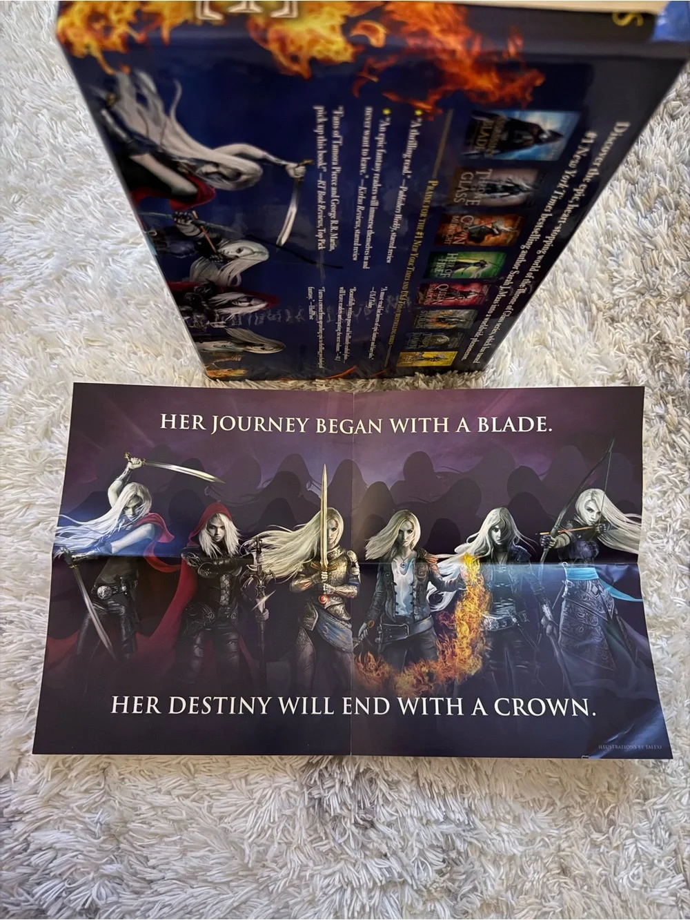 Throne of Glass original series by Sarah J Maas.